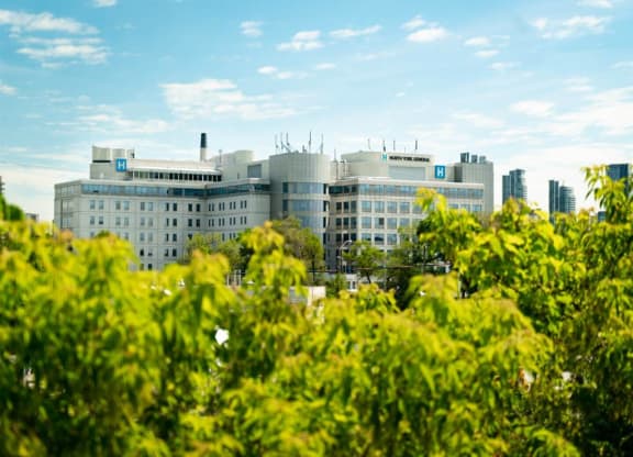 the building in which the apartment is located