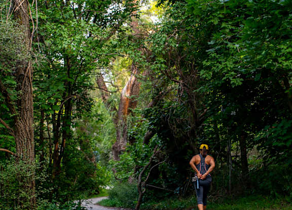 A person is walking on a paved path in a wooded area.