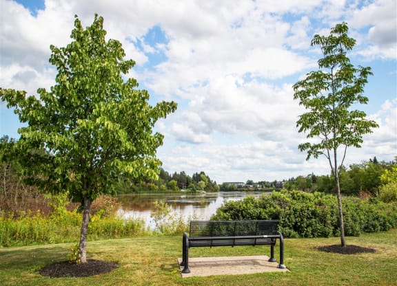 a park bench sitting next to a lake
