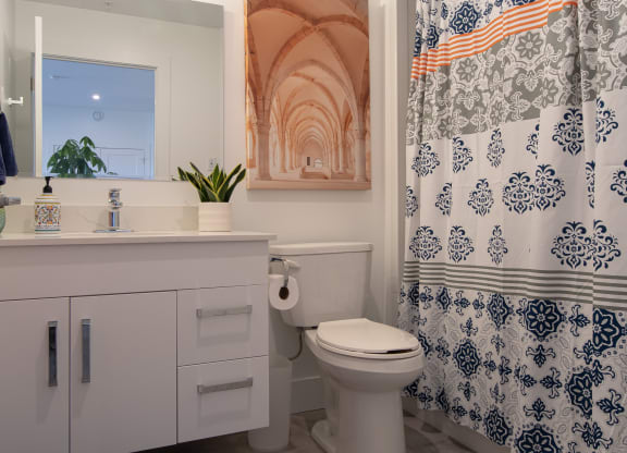 a bathroom with a shower curtain and a toilet