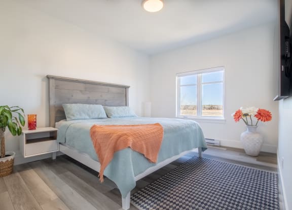 a bedroom with a bed and a window