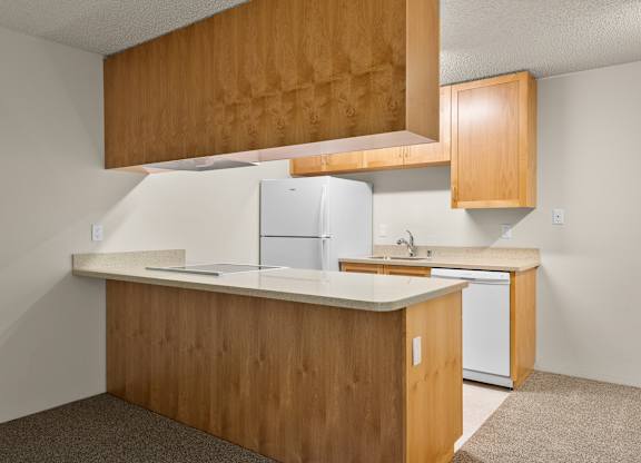 Kitchen of Downstairs Unit with Upgraded Amenities