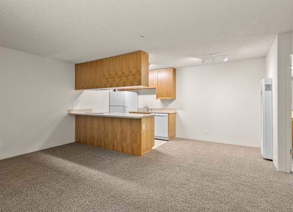 View from Entry of Downstairs Unit with Upgraded Amenities