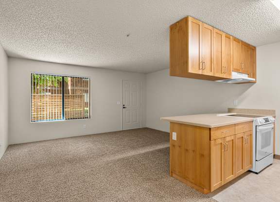 Living Room and Kitchen of Downstairs Unit with Upgraded Amenities