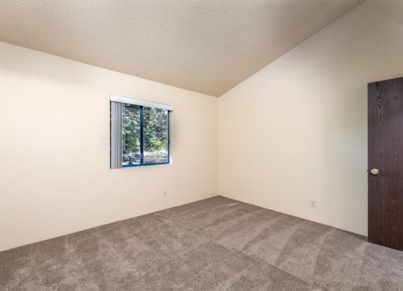 Plush Carpeting at Coddingtown Mall Apartments, Santa Rosa, California
