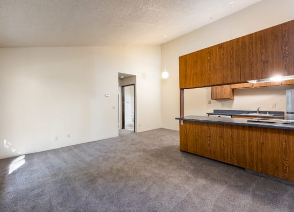 Spacious Living Area at Coddingtown Mall Apartments, Santa Rosa