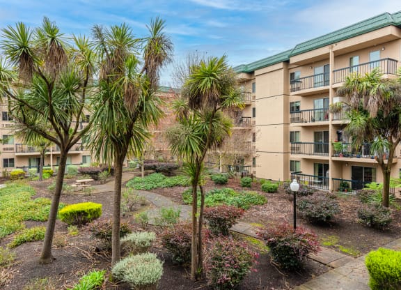 Courtyard Garden at Altamont Apartments, Rohnert Park, 94928