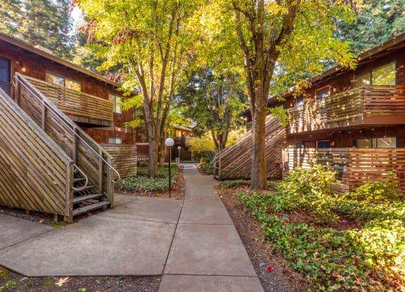 Courtyard at Coddingtown Mall Apartments, Santa Rosa, 95401