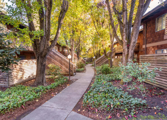 Courtyard Garden at Coddingtown Mall Apartments, Santa Rosa, California