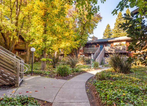 Courtyard Walking Path at Coddingtown Mall Apartments, Santa Rosa, CA, 95401