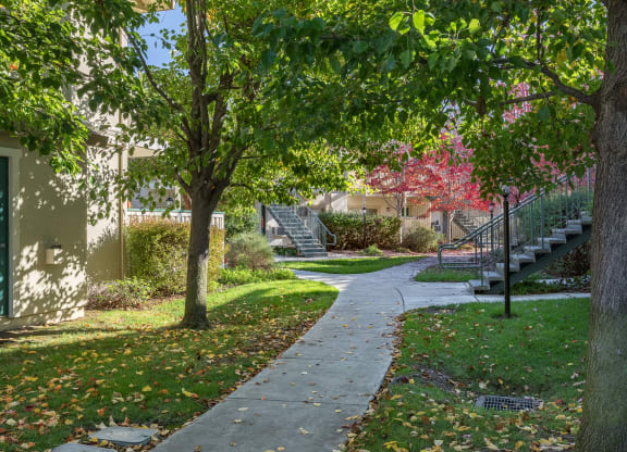 Courtyard Walking Path at Deer Path LLC, Santa Rosa, CA