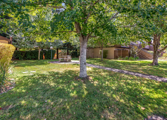 Mature Trees at Edgewood Apartments, California, 94928