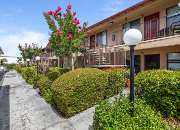 Courtyard Garden at Manor Apartments, Rohnert Park