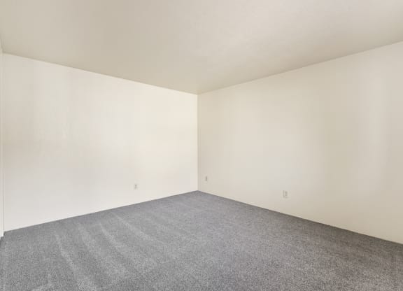Wall-To-Wall Carpeting at Meadowrock Duplexes, California