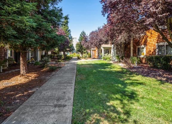 Lush Green Outdoor at Meadowview Apartments, California