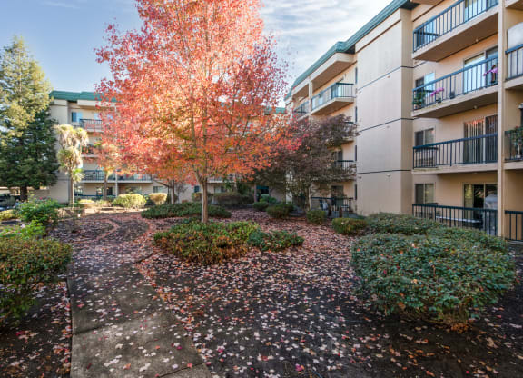 Courtyard at Altamont Apartments, California, 94928