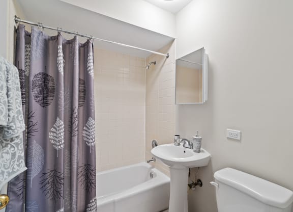 Bathroom at Hanover Park Blu Apartments, Illinois, 60133