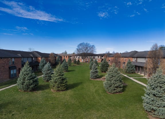rows of trees in front of apartments on a lawn