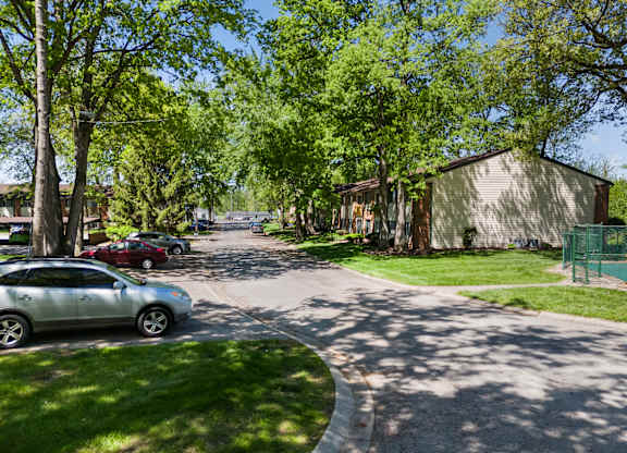 a tree lined street with cars parked on the side