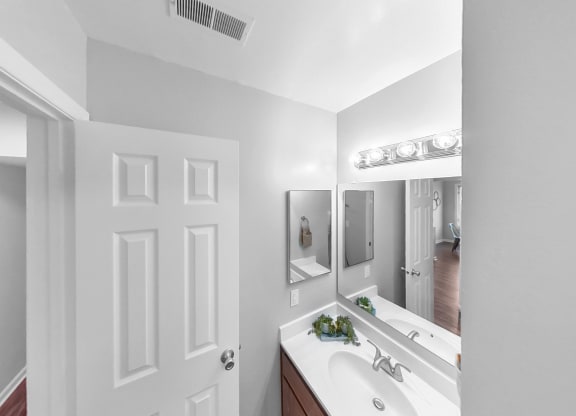 a bathroom with a sink and a mirror and a door