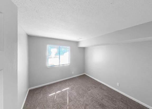 an empty room with carpet and a window