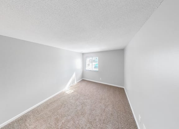 an empty room with carpet and a window