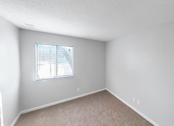 an empty bedroom with a window and carpeting