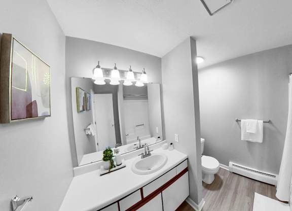 a bathroom with a sink and a shower and a toilet