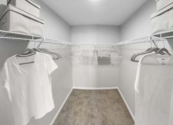 a walk in closet with white shirts hanging on racks and a carpet