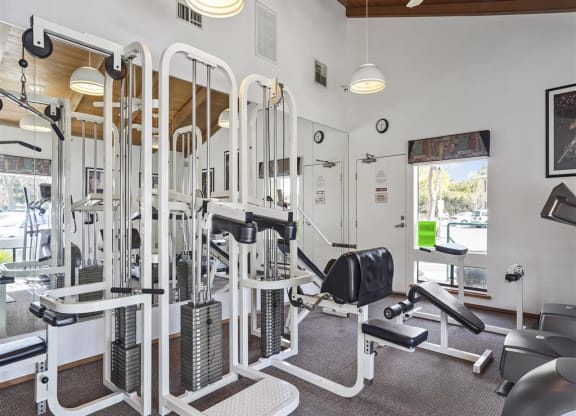 Cable machine in fitness center at Parkside Apartments, Davis, 95616