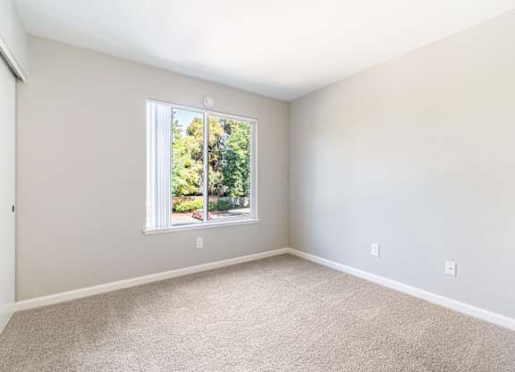 A room with a carpeted floor and a window.