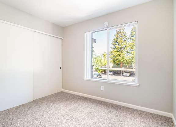 A room with a window showing a tree outside.