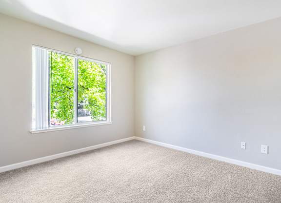 A room with a window and carpeted floor.