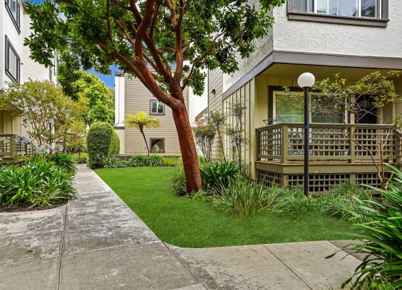 a yard with a tree in front of an apartment building
