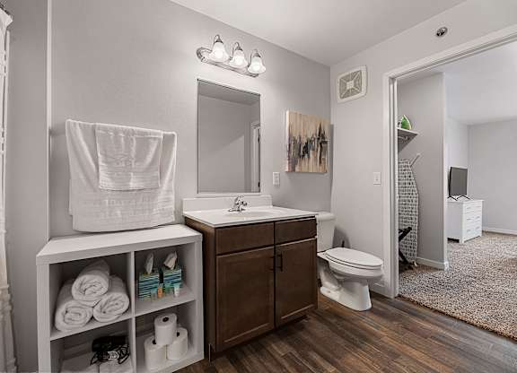 a bathroom with a sink and a toilet and a mirror at Red Rock Apartments, Rapid City, 57702