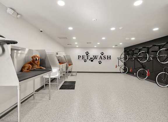 a dog sitting on a desk in a gym with bikes in the background at AVIA Lofts on Parkway Apartments, Vancouver, 98662