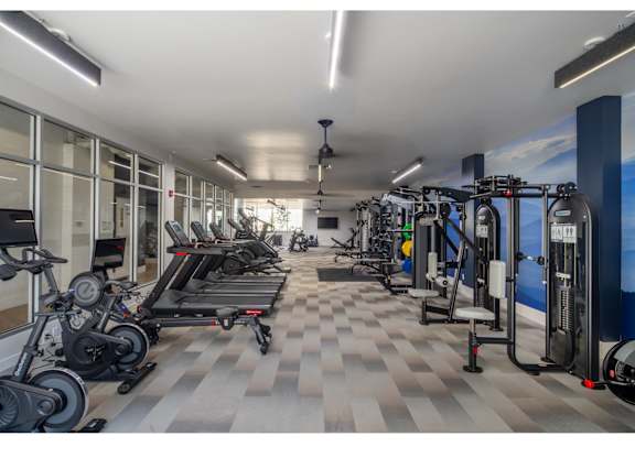 A gym with a variety of exercise equipment including treadmills, stationary bikes, and weight machines.