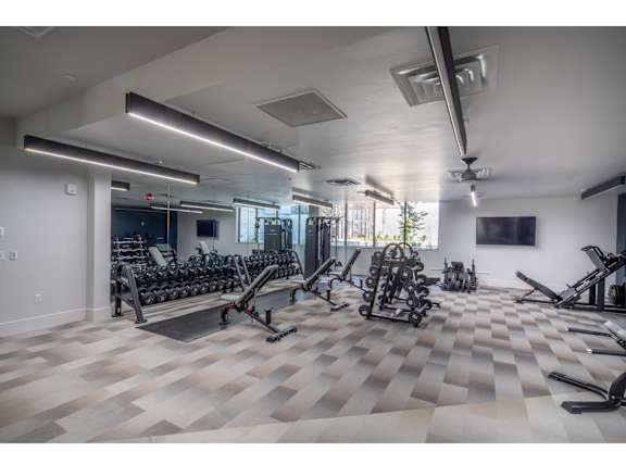 A spacious gym with a variety of exercise equipment.
