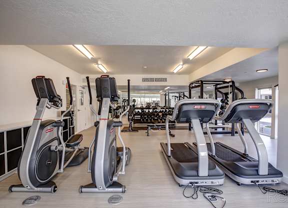 A gym with treadmills and exercise bikes.