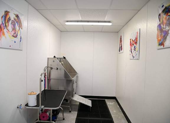Pet Wash Station with art at SevenO2 Main Apartments, Salt Lake City, 84101