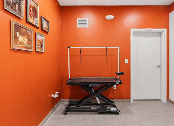 pet holding area at The Revival, Salt Lake City