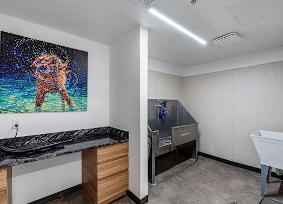 a kitchen with a sink and a painting of a dog at The Flats at Riverwoods, Provo, Utah