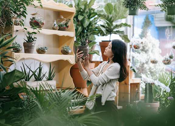 A woman is holding a plant in a greenhouse.
