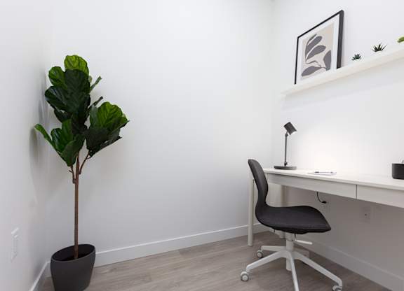 A room with a desk, chair, and a plant.