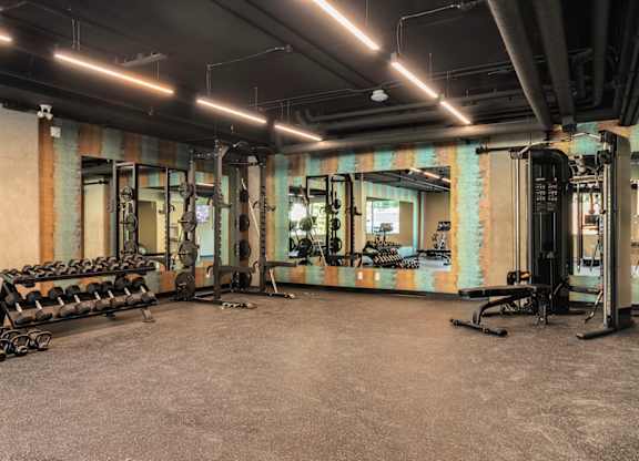 A gym with a variety of equipment including a squat rack, bench press, and a medicine ball.