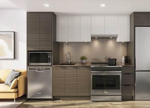 A modern kitchen with stainless steel appliances and a plant on the side.