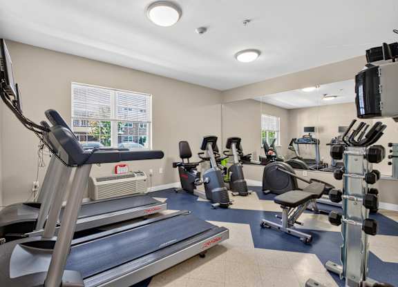 A well-equipped gym with treadmills, weights, and exercise machines.