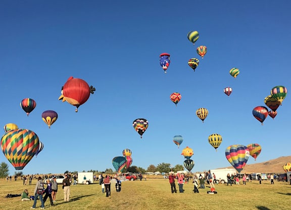 Hot air balloon festival with colorful balloons at Lakeside Manor Apartments, Reno, NV