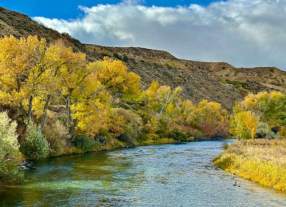 River landscape with autumn foliage and mountains at Lakeside Manor Apartments, Reno, 89509
