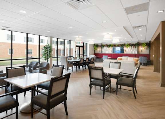 A room with tables and chairs and a plant in the corner.